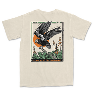 IVO Condor Tee w/ Kestrel Tseng