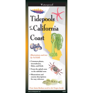 Tidepools of the California Coast Nature Guide