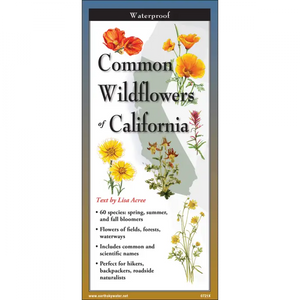 Common Wildflowers of California Nature Guide