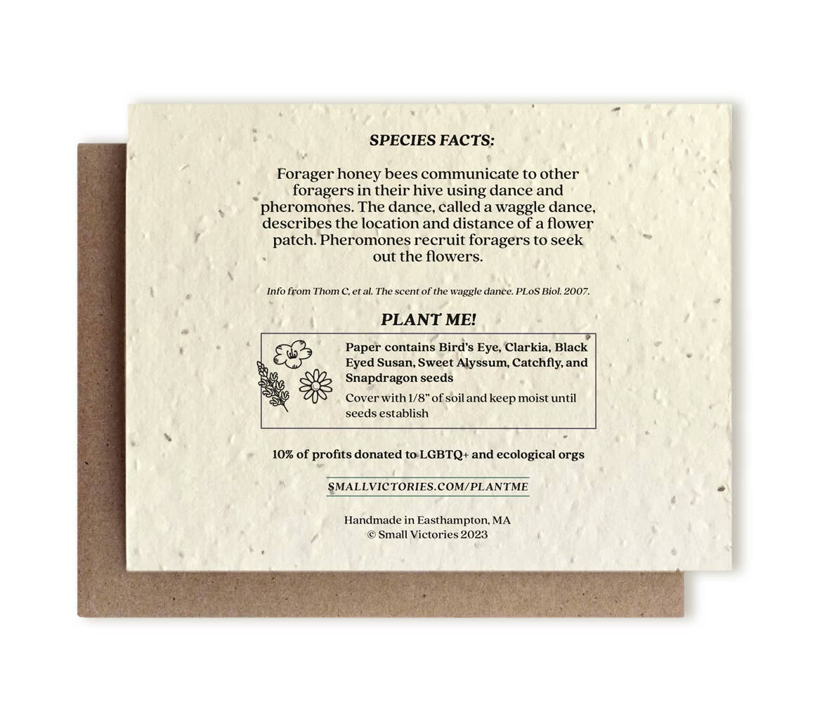 Honey Bee Plantable Wildflower Seed Card: Glassine Sleeves