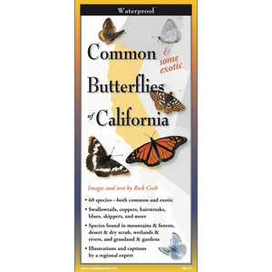 Common Butterflies of California Nature Guide