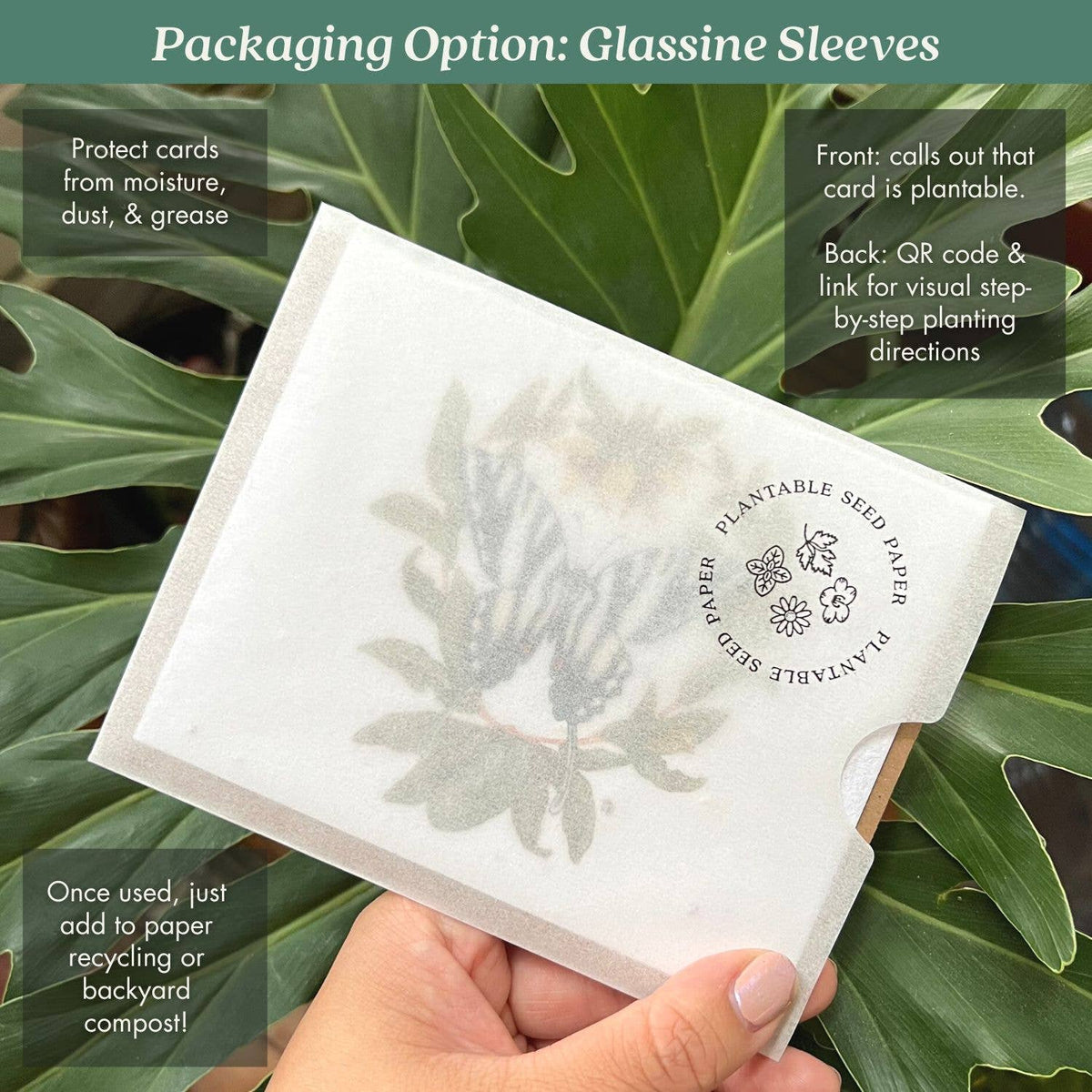 Moon Phase Birthday Plantable Herb Seed Card: Glassine Sleeves