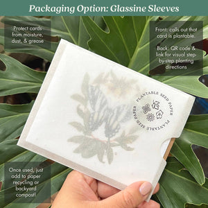 California Poppy Plantable Wildflower Seed Card: Glassine Sleeves