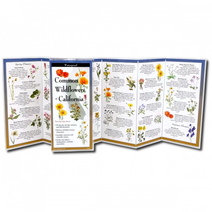 Common Wildflowers of California Nature Guide