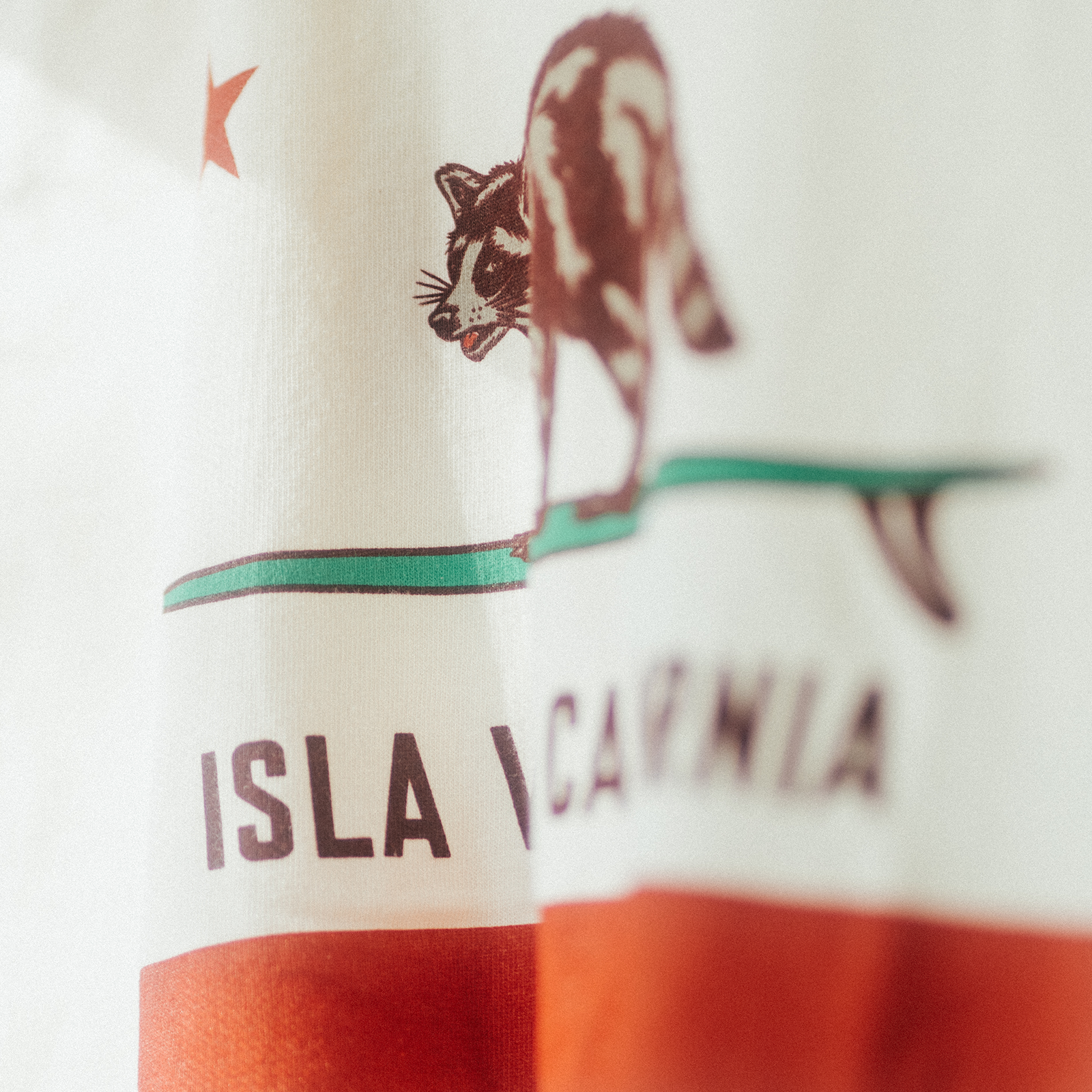 California Flag Raccoon Tee