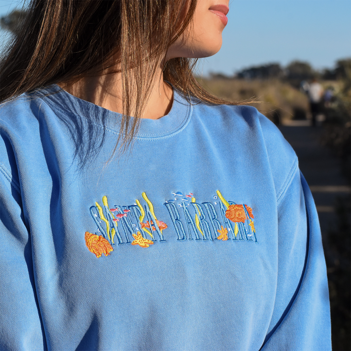 Santa Barbara Under the Sea Crew