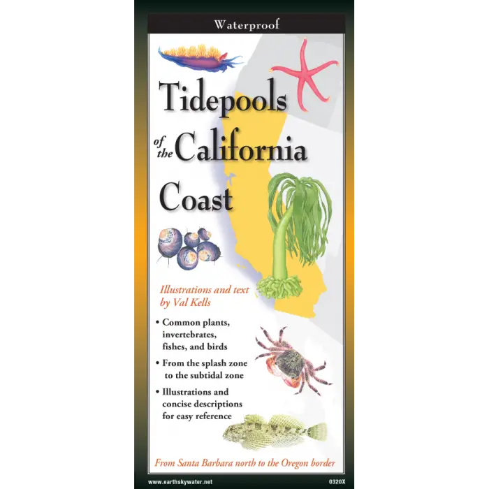 Tidepools of the California Coast Nature Guide