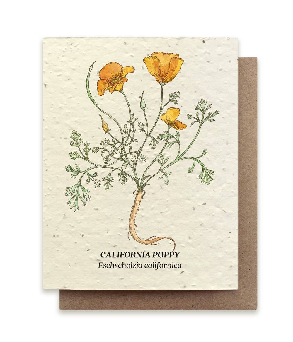 California Poppy Plantable Wildflower Seed Card: Glassine Sleeves