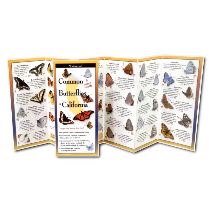 Common Butterflies of California Nature Guide