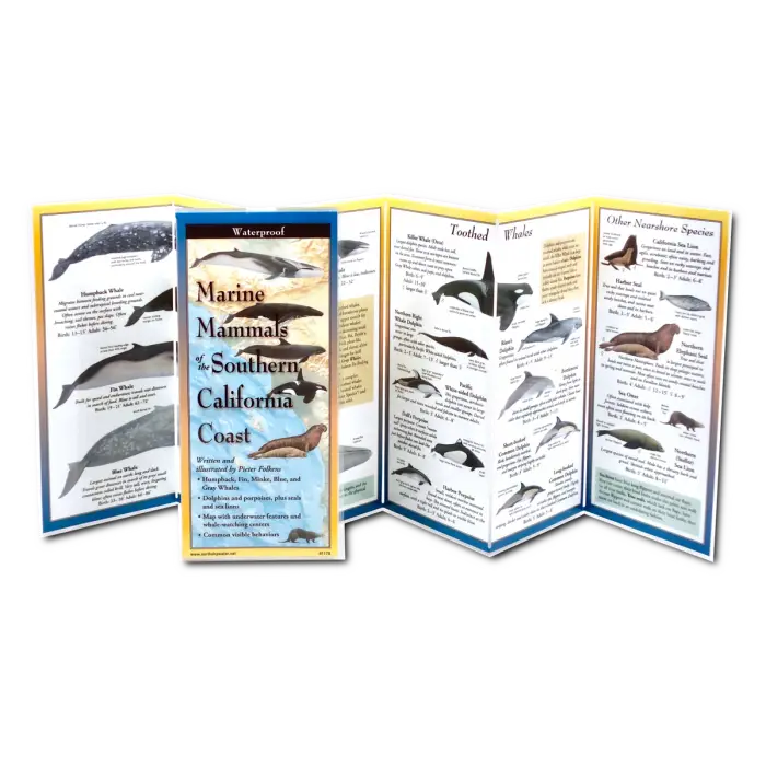Marine Mammals of Southern California Nature Guide