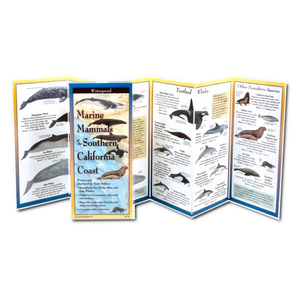 Marine Mammals of Southern California Nature Guide