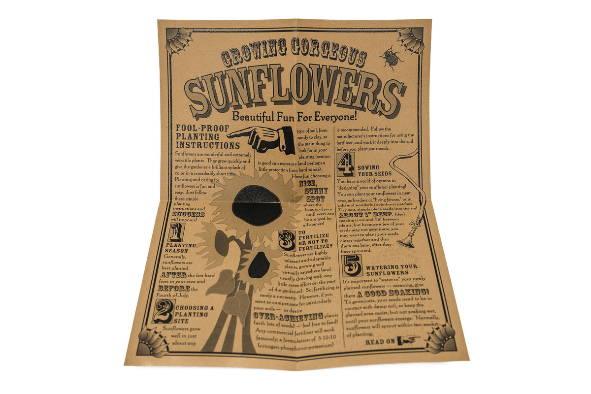 Sunflower | Seed Grow Kit