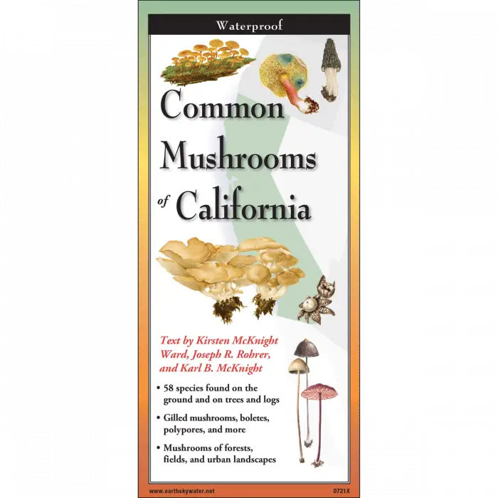 Common Mushrooms of California Nature Guide