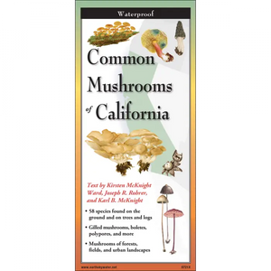 Common Mushrooms of California Nature Guide