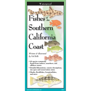 Fishes of Southern California Coast Nature Guide