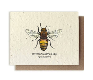 Honey Bee Plantable Wildflower Seed Card: Glassine Sleeves