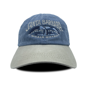 Santa Barbara Whale Watch Cap