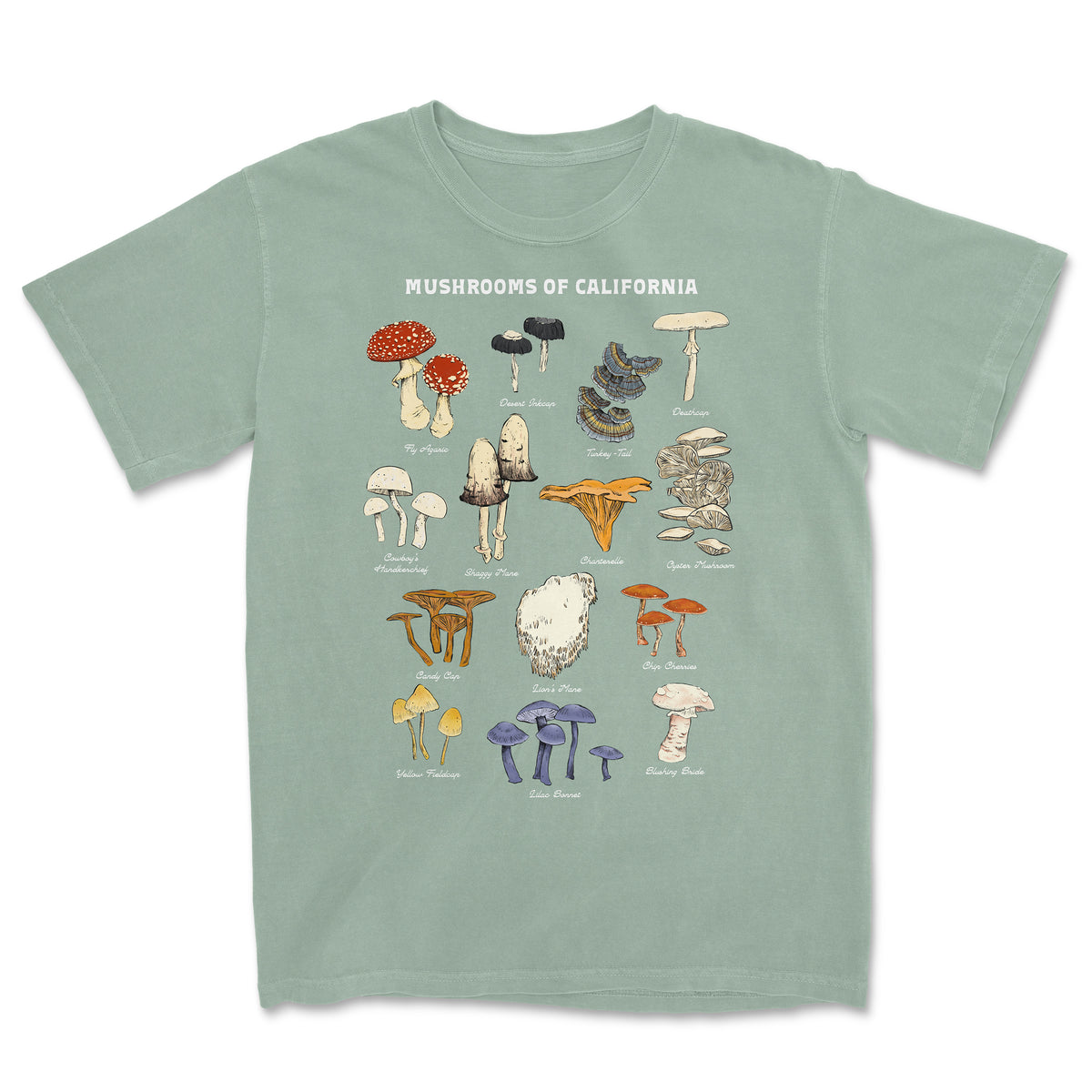 Mushrooms of California