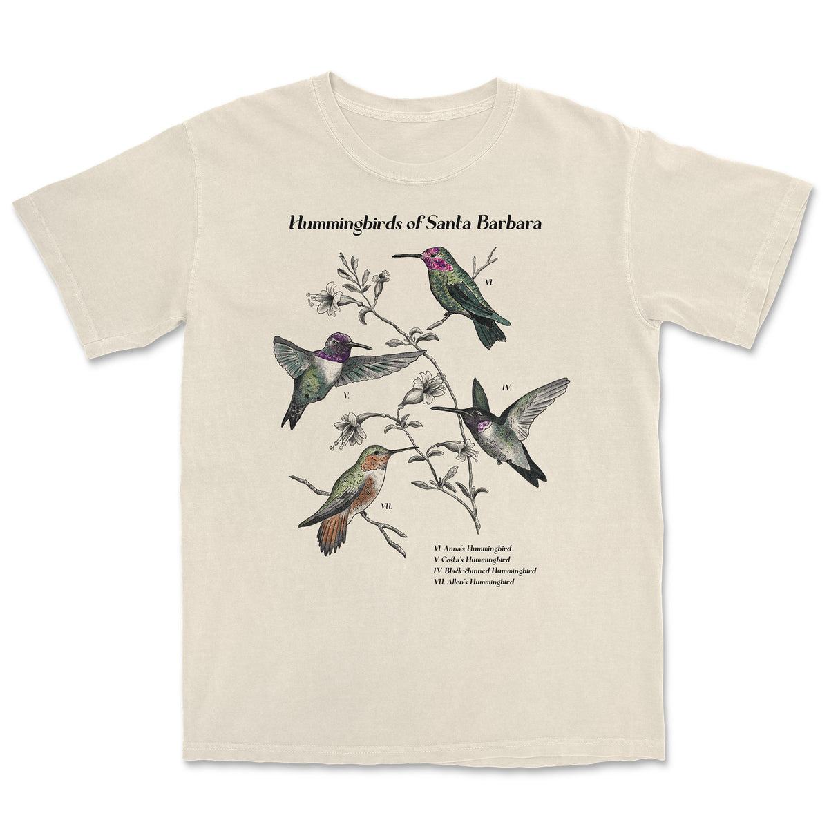 Hummingbirds of SB [discontinued]